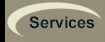 professional services